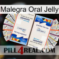 Malegra Oral Jelly kamagra1